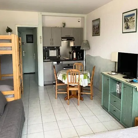 Studio For 4 People Apartment Le Grau-du-Roi